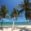 Grüne Reiseziele 2018 Ban Tai Beach at Pha-Ngan Island, Surat Thani