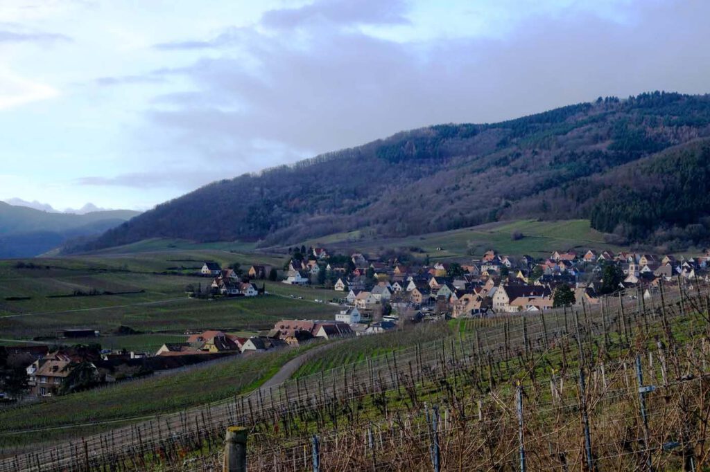 Blick auf Riquewihr