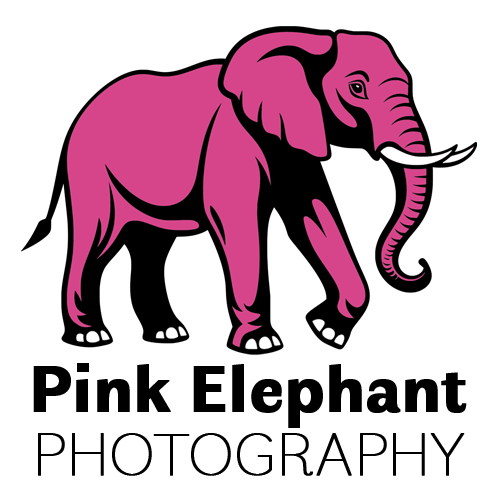 Pink Elephant Photography