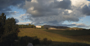 Ein Sizilianisches Mosaik