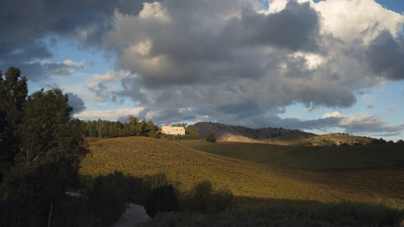 Ein Sizilianisches Mosaik