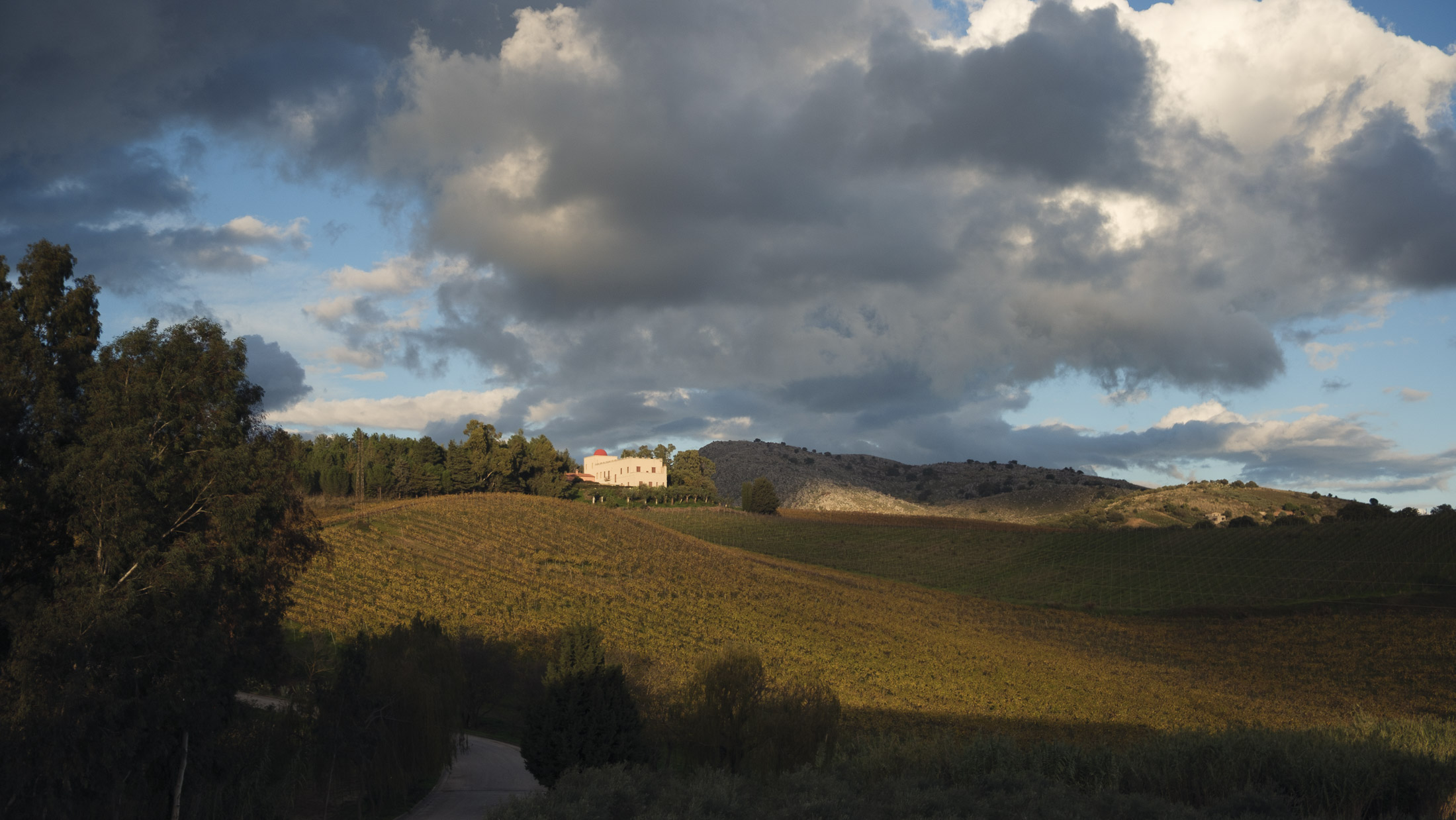 Die Weine des Sicilia DOC