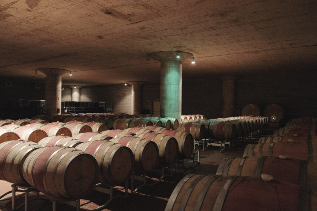 Der beeindruckende Weinkeller, tief im Berg