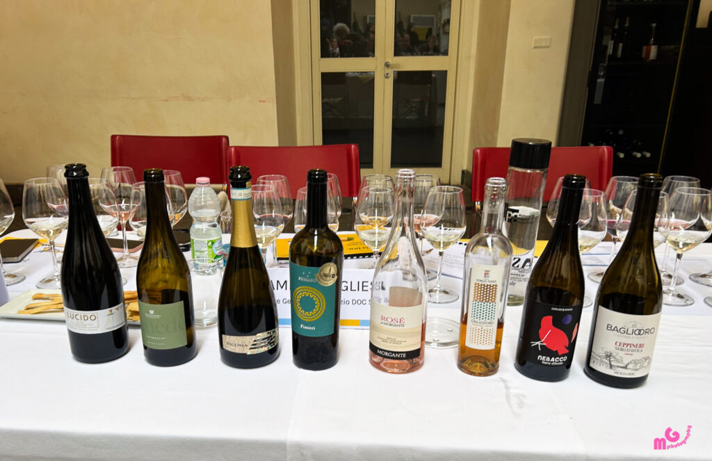 Die Weine der ersten Masterclass